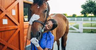 Mature doctor and milf started to fuck. 20 Non Riding Careers For Horse Lovers