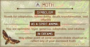 Moth Meaning And Symbolism The Astrology Web Moth Meaning Spirit Animal Moth Symbolism