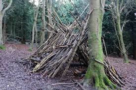 Going back centuries, these special trees have a role in numerous cultures and folklore tales. An A Frame Survival Shelter In The Woods Constructed Using Tree Stock Photo Picture And Royalty Free Image Image 140364603