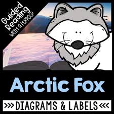 However, authors of such accounts genuinely believe or claim them to be truthful at the time of their composition or, at least, pose them to a convinced audience as historically or. Diagrams And Labels In Nonfiction Text Worksheets Teaching Resources Tpt
