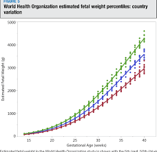 The World Health Organization Fetal Growth Charts Concept