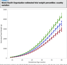 the world health organization fetal growth charts concept