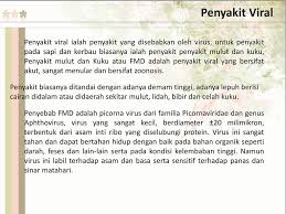 Penyakit Pada Sapi Dan Kerbau Ppt Download