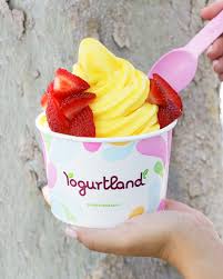 Yogurtland Village Del Amo Get Your Dose Of Vitamin C Today With Our Dairy Free Citrus C Sorbet Back For Limited Time Only This Perfect Flavor Balance Of Candied Tangerine And A