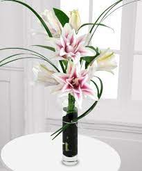 We did not find results for: Beneva S Signature Stargazer Lilies With Several Layers Of Blooms Sarasota Florist Beneva Flowers Flower Arrangements Flower Decorations Stargazer Lily