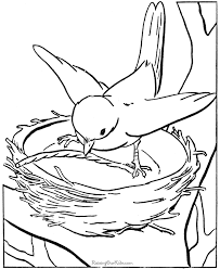 Bird coloring pages are fun for kids of all ages. Bird Nest Coloring Page Coloring Home