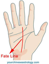 The presence of these lines indicate your financial strength. Fate Line Career Job Line Luck Line Palmistry Chinese Palm Reading