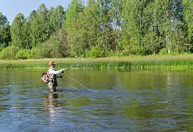 Here are just a few of the amazing fishing holes in northwest arkansas…. The 7 Best Fly Fishing Spots In Arkansas