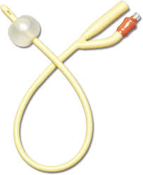 Image result for Cathormion