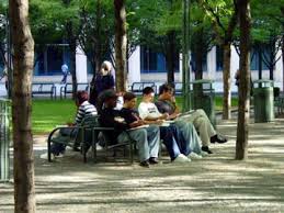 Do we have commercial park benches, you ask? Have A Seat Movable Chairs Or Benches