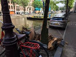 It picked up debris and flew over a river. Ddb A Twitter Does Someone Above Doesn T Like The Political Ideas Of Groenlinksamsterdam Mayor Femkehalsema Tornado Hits Surroundings Mayor S Residence At Herengracht 502 A Divine Sign At5 Parool Telegraaf Amsterdam Bomenconsulent Nos