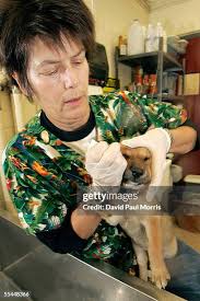 169 Judy Morris Stock Photos, High-Res Pictures, and Images