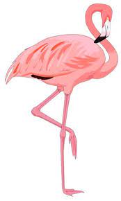 Resultat De Recherche D Images Pour Flamant Rose Dessin Anime Zentangle Patterns Geometric Pattern Drawings