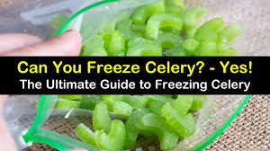 3 Wonderful Ways To Freeze Celery