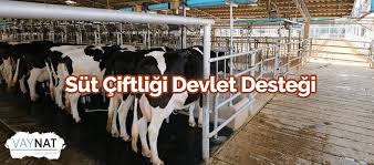 Sut Ciftligi Devlet Destegi 2019