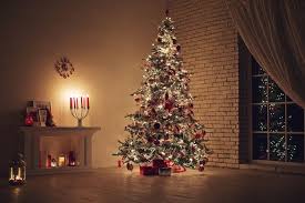 Dekorasi hari raya natal belum lengkap rasanya tanpa kehadiran pohon natal. 4 Pohon Natal Unik Dari Limbah Plastik Hingga Daun Lontar Halaman All Kompas Com