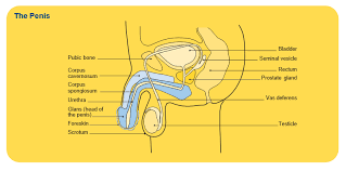 At cancer council sa, we recognise and value diversity and are committed to providing equal employment opportunities and work ethically in accordance with our code of conduct. 7kqfzvalzyzvym