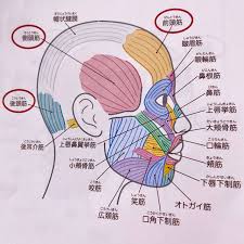 白髪が生えるのが部分的なのはなぜ？ | 美容室カキモトアームズのオフィシャルサイト