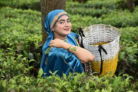 Dolphin Studio in Alwarpet,Coonoor - Best Photo Studios near me in Coonoor  - Justdial