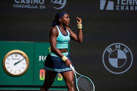 Image result for Seidelia