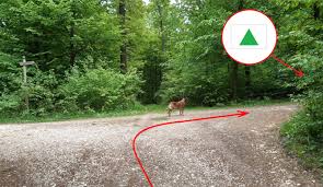 Habár az érvénybe lépett, külterületekre vonatkozó tűzgyújtási tilalom ezt nem befolyásolja, arra kérik a gyöngyösieket. Kutyas Kor 17 Km Utvonal Kutyaval Futunk