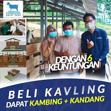 Ukuran kandang kambing modern tergantung dari jenis kambing yang anda ternakkan. Jual Kavling Kandang Kambing Di Bogor Iklanku123