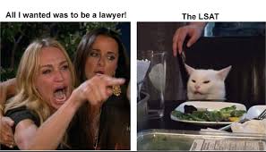 During a virtual court hearing, lawyer rod ponton couldn't turn off his zoom filter. The Best Lsat Memes Blueprint Prep Lsat Blog