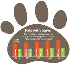 We all know that animal abuse exist. Feature Pet Peeves In Animal Welfare The Star