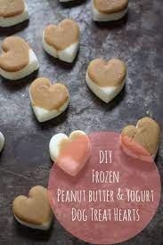 Valentine S Pets Diy Natural Frozen Dog Treats 17 Apart Dog Treat Recipes Frozen Dog Treats Homemade Dog Food