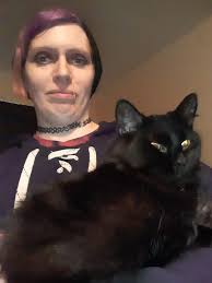 Found cats in Huntington County Indiana