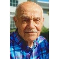 John Francis Amadei Obituary