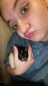 Hey guys, does anyone know roughly how much it would be for a vet to  cremate a rat? I lost my precious brainy boy a couple of days ago and would  love