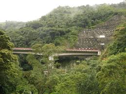 We did not find results for: Enclavado Entre Paredes Naturales De La Cordillera Oriental