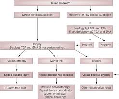 The celiac disease test results report. The Spectrum Of Celiac Disease Epidemiology Clinical Aspects And Treatment Nature Reviews Gastroenterology Hepatology