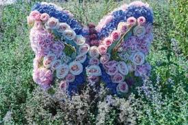 He is extremely knowledgeable as he has been involved in many aspects of the dutch flower business. Van Den Berg Roses Avalanche Roses From The Netherlands