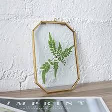 When i saw some floating frames used in another type of art project, i thought. Buy Ncyp Glass Floating Frame Gold Octagon Clear Wall Decor Brass Hanging Frame For Display Pressed Plant Specimen Dried Flowers Diy Artwork Photo Picture Herbarium 4x6 Inches Glass Frame Only Online In