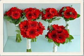 Some bridal couples wonder if it's really bad luck for the groom to see the bride in her wedding dress before their wedding. Red Wedding Flowers Bright Symbols Of Good Luck For Your Wedding