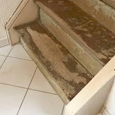 Eine echte alternative, die holztreppe hin zu einer modernen treppe zu renovieren: Treppe Mit Laminat Renovieren Trenovo Verlegeb In Bochum