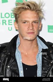 Hollywood, CA. 22nd Feb, 2017. Cody Simpson, At 14th Annual Global Green  Pre Oscar Party, At