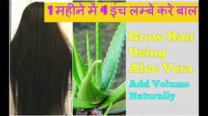 Aloe vera is wonder plant when it comes to tackling your hair woes. How To Grow Hair Faster Longer Using Aloe Vera Gel Potato Juice Castor Oil In Hindi Youtube