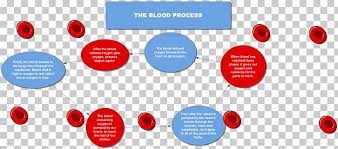 flowchart diagram circulatory system coagulation blood flow