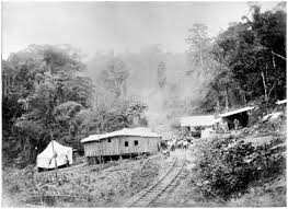 La primera vez que los juegos olímpicos debieron suspenderse fue en 1916, cuya sede iba a ser berlín, a causa de la primera guerra mundial. Seduciendo Al Mundo Con Paisajes Las Imagenes De El Ecuador En Chicago