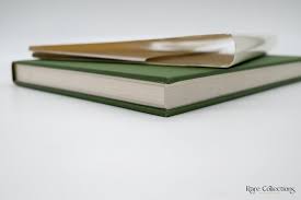 Image result for Riocreuxia