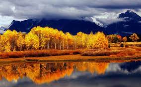 Autumn Landscape Wallpaper Wallfree 100 Free High Definition Wallpaper High Definition Background 4k Wallpaper 4k Desktop Background