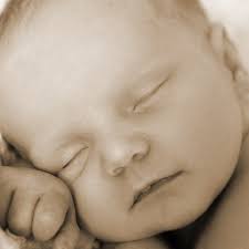 Alicia Day Photography