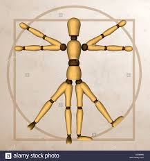 Risultato immagini per uomo vetruviano