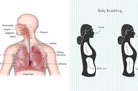 10 Breathing Exercises That Give You More Energy In 10 Minutes Or Less Power Of Positivity Breathing Exercises Belly Breathing Exercise
