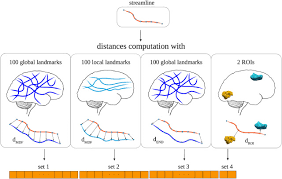 Streamline provides queensland health staff with online access to: Classifyber A Robust Streamline Based Linear Classifier For White Matter Bundle Segmentation Sciencedirect