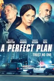 Four notorious thieves wake up in a fortified warehouse and are forced by a cunning master thief to plan and commit an extraordinary diamond heist. A Perfect Plan 2020 Web Dl 720p Hd In English Full Movie Download