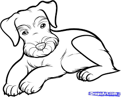 Draw A Schnauzer Schnauzer Step By Step Drawing Sheets Added Az Coloring Pages Schnauzer Drawing Schnauzer Art Dog Paintings